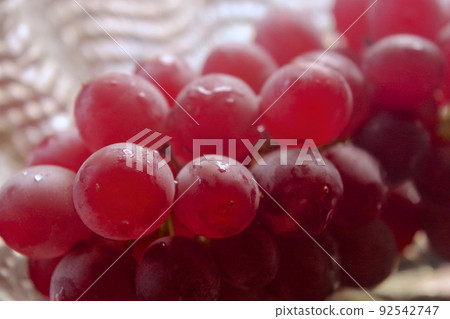 特拉華州 特拉華州 92542747