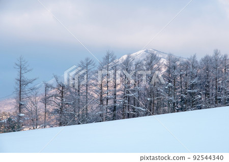 Dawn of fresh snow (Hiruzen Plateau) Dawn of fresh snow (Hiruzen Plateau) 92544340