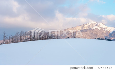Dawn of fresh snow (Hiruzen Plateau) Dawn of fresh snow (Hiruzen Plateau) 92544342