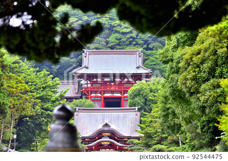 在太鼓橋上看到的鎌倉鶴岡八幡宮 在太鼓橋上看到的鎌倉鶴岡八幡宮 92544475