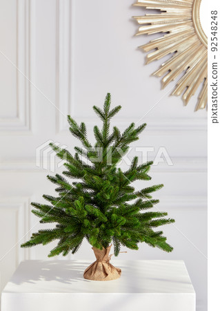 Pretty bushy danish Christmas tree without decorations in a large pot wrapped in sackcloth with space for your message on white background Pretty bushy danish Christmas tree without decorations in a large pot wrapped in sackcloth with space for your message on white background 92548248
