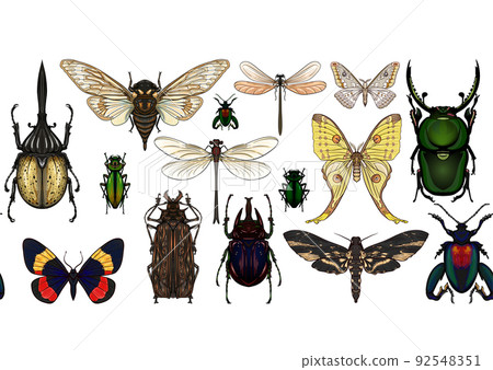 Set of insects: beetles, butterflies, moths, dragonflies. 92548351