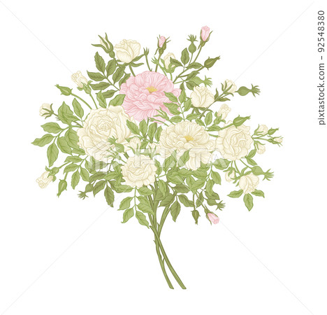 Roses flowers on branches. Millefleurs trendy floral design 92548380