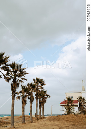 Hyeopjae Beach with palm tree in Jeju island, Korea Hyeopjae Beach with palm tree in Jeju island, Korea 92548496