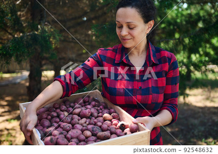 Charming middle-aged woman farmer, in plaid shirt carrying a wooden box of freshly dug potatoes in organic farm. Harvest Charming middle-aged woman farmer, in plaid shirt carrying a wooden box of freshly dug potatoes in organic farm. Harvest 92548632