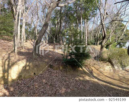 結城城跡（東京都八王子市） 92549199