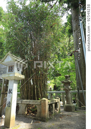 大神田村神社三上宮的竹筍 92549238