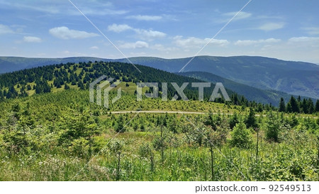Jeseniky mountains landscape in summer 92549513