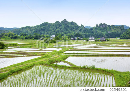Tadameso Tadameso 92549801