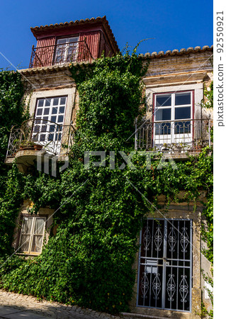 Old abandoned house covered with ivy 92550921