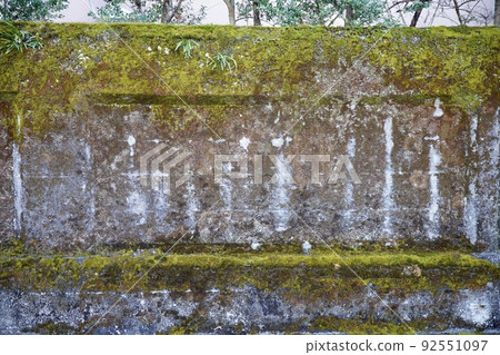長滿苔蘚的混凝土牆 92551097