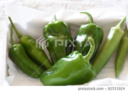 Bell pepper shishito okra 92551924
