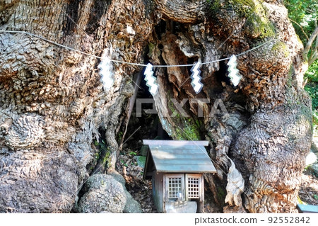 Kuzumi Shrine's Okusu Kuzumi Shrine's Okusu 92552842
