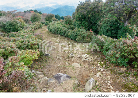 Forest photo. Image of nature and mountains. Kyogamine Forest. 92553007