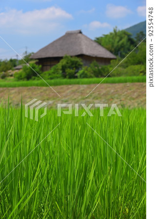 日本鄉村風光 筑波原風景 夏日鄉村 日本鄉村風光 筑波原風景 夏日鄉村 日本鄉村風光 筑波原風景 夏日鄉村 日本鄉村風光 筑波原風景 夏日鄉村 92554748