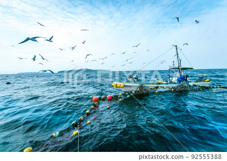 A fisherman in Ishinomaki City, Miyagi Prefecture, goes out to work in a set net fishing 92555388