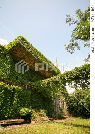 Ivy Ruins Nagasaki Prefecture Hario Radio Tower Ivy Ruins Nagasaki Prefecture Hario Radio Tower 92555645