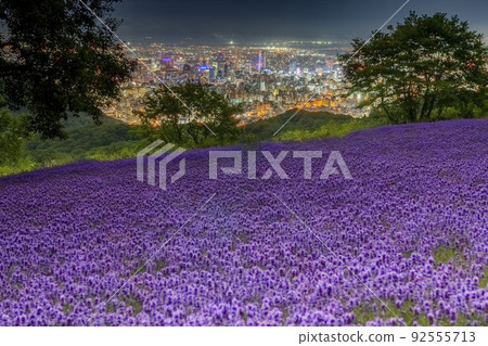 札幌 Horomi Pass 夜景薰衣草 札幌 Horomi Pass 夜景薰衣草 92555713
