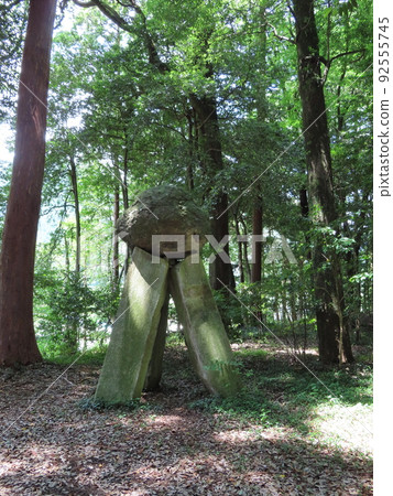 播磨之國一宮岩神社後面森林中的一塊苔蘚巨石，可能是一個古老的石圈 92555745