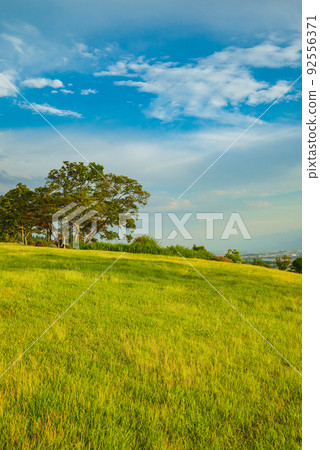[Evening view] Summer Azumino [Ikeda-cho, Kitaazumi-gun] 92556371