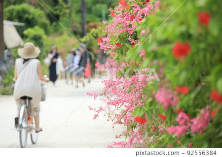 Scenery of Taketomi Island, Okinawa Scenery of Taketomi Island, Okinawa 92556384