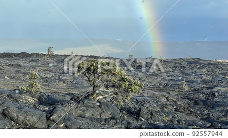 Hawaii Island Volcano Area Mauna Kea Volcano Rainbow and Black Lava Hawaii Island Volcano Area Mauna Kea Volcano Rainbow and Black Lava 92557944