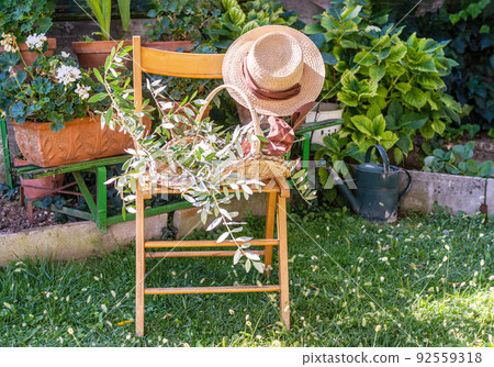 Chair in the garden Hat, basket with olive brunches, warm sunny day Chair in the garden Hat, basket with olive brunches, warm sunny day 92559318