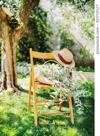 Chair under olive tree. Hat, basket with olive brunches, sunny day 92559327