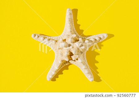A large starfish on a yellow background. A large starfish on a yellow background. 92560777