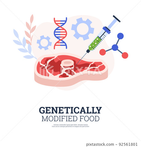 Banner about genetically modified food flat style, vector illustration Banner about genetically modified food flat style, vector illustration 92561801