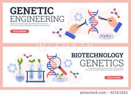 Genetic engineering and biotechnology web banners set, flat vector illustration. Genetic engineering and biotechnology web banners set, flat vector illustration. 92561802