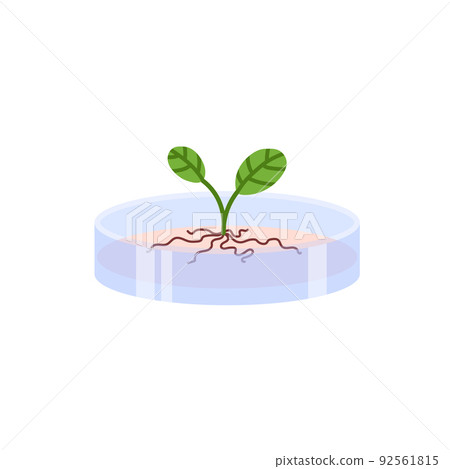 Plants genetic modification and bioengineering flat vector illustration isolated. 92561815