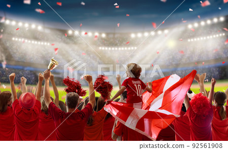 Denmark football team supporter on stadium. 92561908