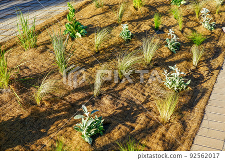 Mulch Mat with Coconut and Weed Control Protection Film in the Urban Greenery Bed Mulch Mat with Coconut and Weed Control Protection Film in the Urban Greenery Bed 92562017