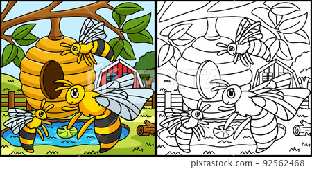 Bee Coloring Page Colored Illustration 92562468