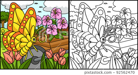 Butterfly Coloring Page Colored Illustration Butterfly Coloring Page Colored Illustration 92562470