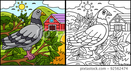 Pigeon Coloring Page Colored Illustration Pigeon Coloring Page Colored Illustration 92562474