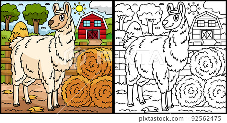 Llama Coloring Page Colored Illustration Llama Coloring Page Colored Illustration 92562475