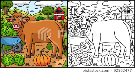 Ox Animal Coloring Page Colored Illustration Ox Animal Coloring Page Colored Illustration 92562477