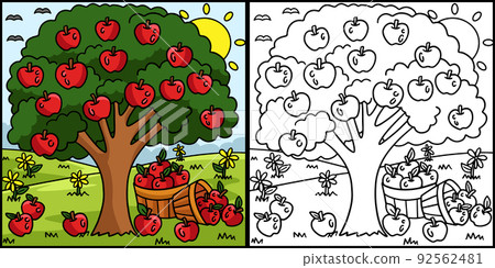 Apple Tree Coloring Page Colored Illustration Apple Tree Coloring Page Colored Illustration 92562481
