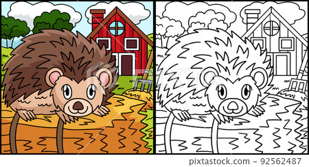 Hedgehog Coloring Page Colored Illustration 92562487