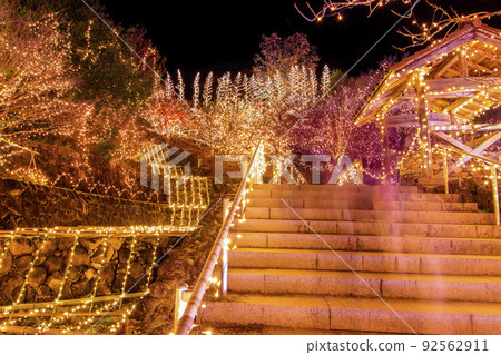 國家比基塔山公園的照明 國家比基塔山公園的照明 92562911