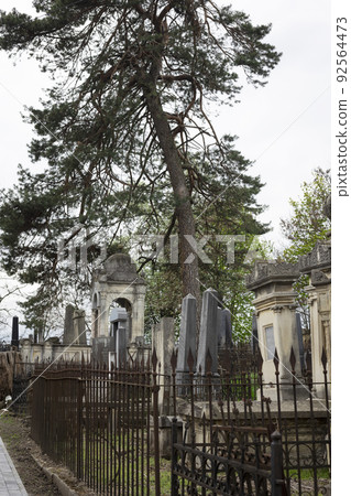old Jewish cemetery in the city of Chernivtsi. Ukraine 92564473