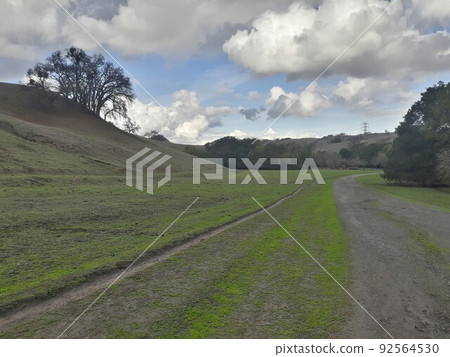Briones State Park in California 92564530