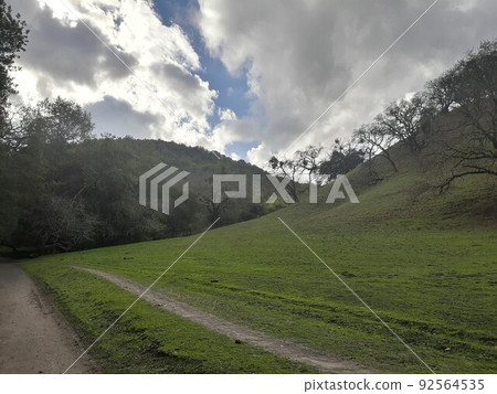 Briones State Park in California Briones State Park in California 92564535
