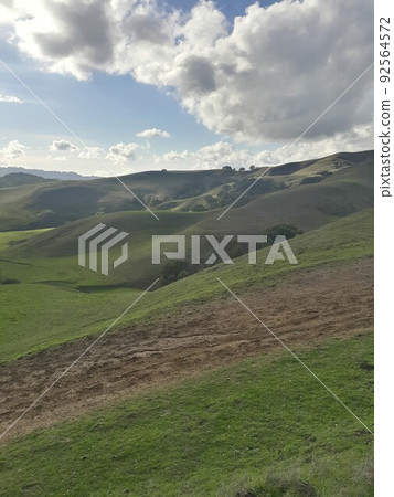 Briones State Park in California Briones State Park in California 92564572