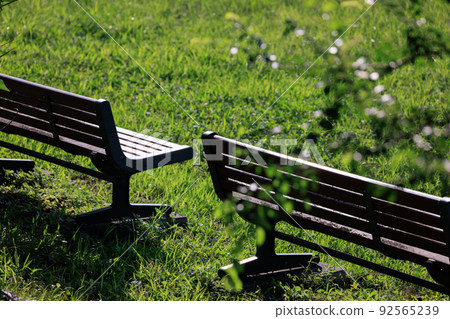 Park bench in the setting sun Park bench in the setting sun 92565239