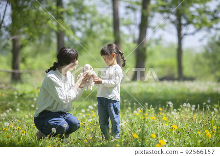 Parents and children playing in the spring field 92566157