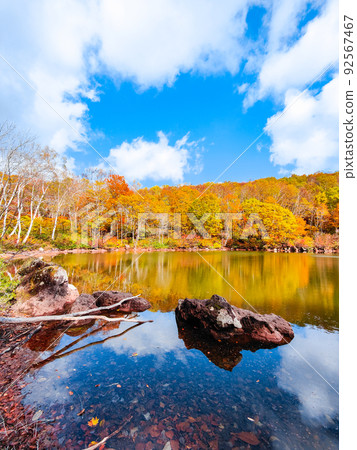 Autumn leaves of Sennin Pond (Sasagamine Plateau) Autumn leaves of Sennin Pond (Sasagamine Plateau) 92567467