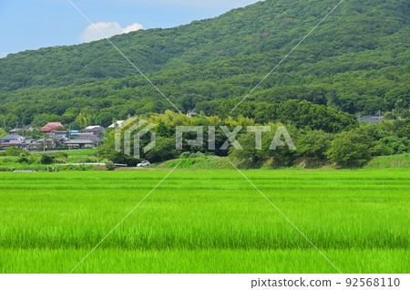 筑波山的田園風光 筑波山的田園風光 92568110
